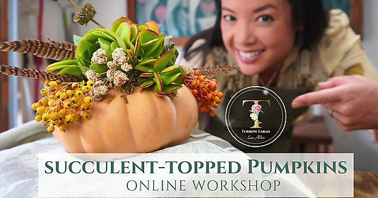 Succulent-Topped Pumpkins Online Workshop